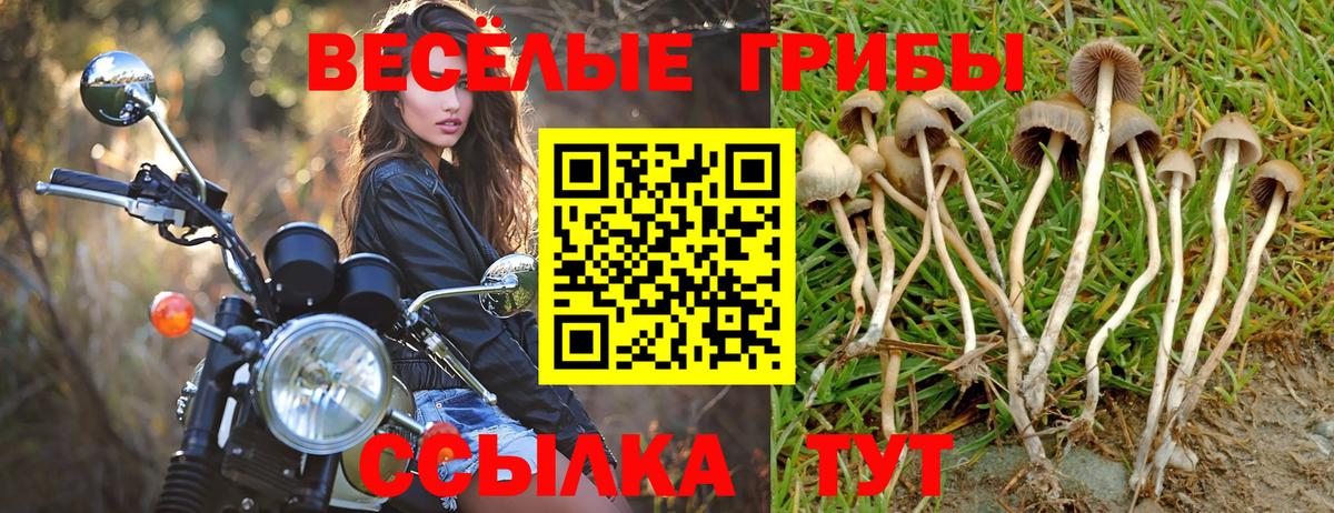 Псилоцибиновые грибы MAGIC MUSHROOMS Ижевск